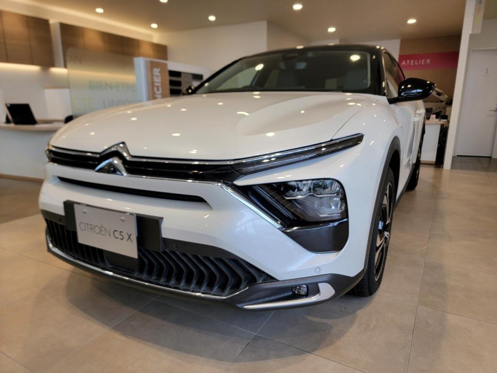 当店一押しのモデルです！