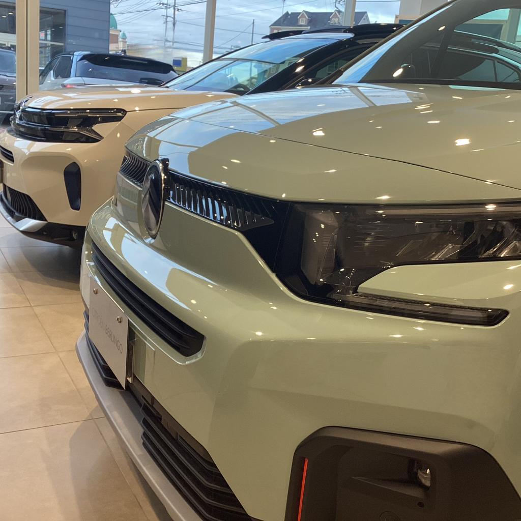 今年も残り僅かとなりました